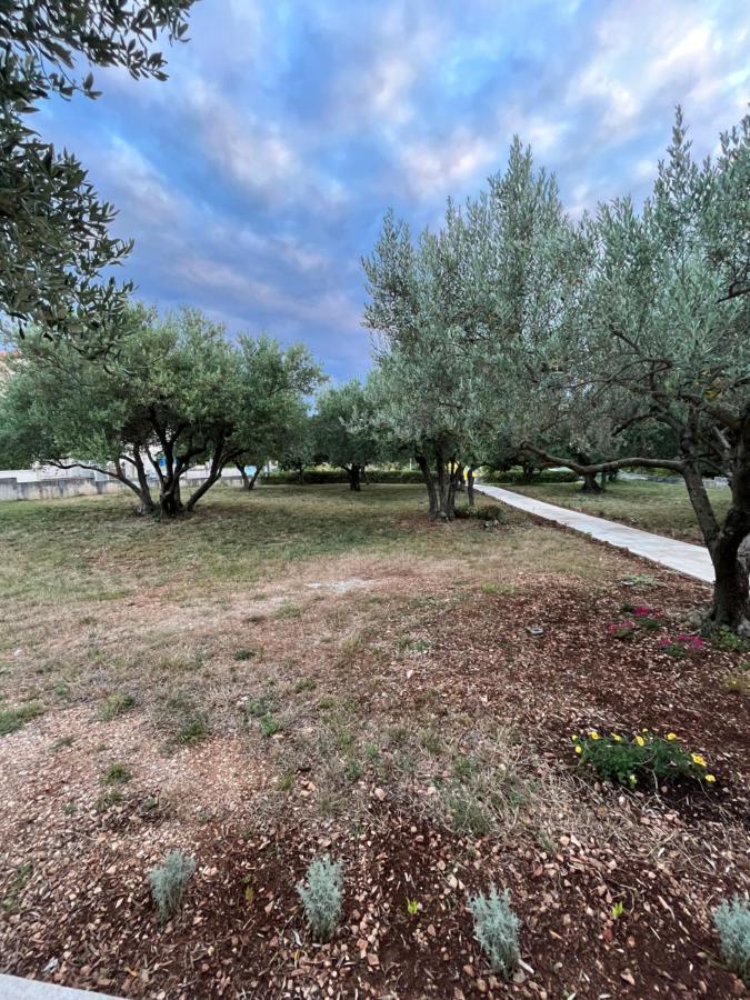 Apartman Oliva Zadar Zewnętrze zdjęcie