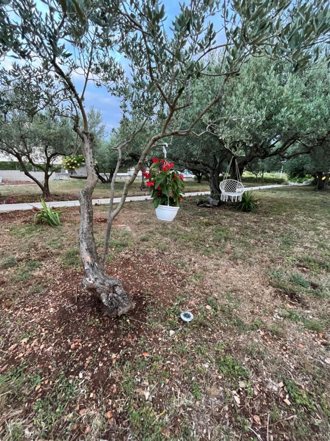Apartman Oliva Zadar Zewnętrze zdjęcie