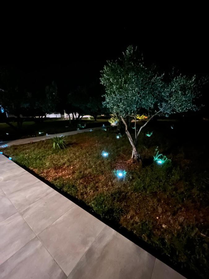 Apartman Oliva Zadar Zewnętrze zdjęcie